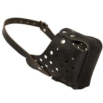 Agitation training leather muzzle for Cane Corso