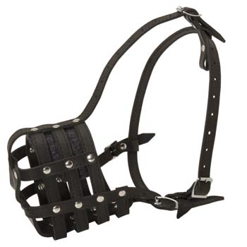 Respiring leather muzzle