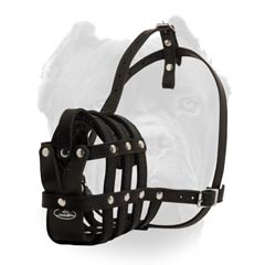 Spacious awesome dog muzzle
