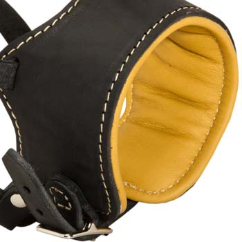 Cane Corso Nappa padded muzzle