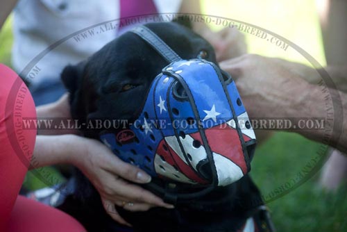 Walking Cane Corso Harness