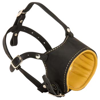 Cane Corso leather dog muzzle