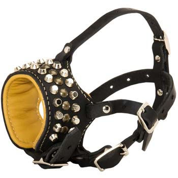 Cane Corso leather muzzle with studs