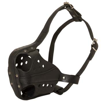 Comfortable exclusive leather dog muzzle