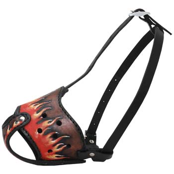 Hand painted prime leather dog muzzle