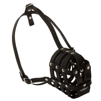 Easy-worn leather muzzle