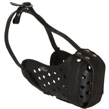 First-rate leather dog muzzle for tall dogs