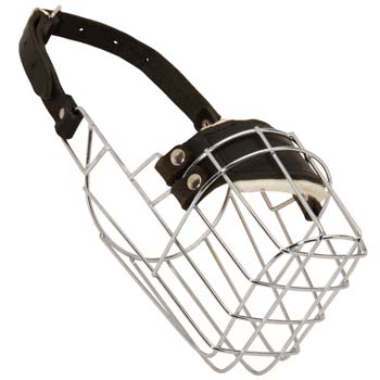 Wire basket dog muzzle for Great Dane 