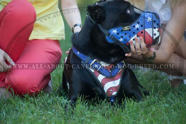 Handpainted Italian Mastiff Muzzle