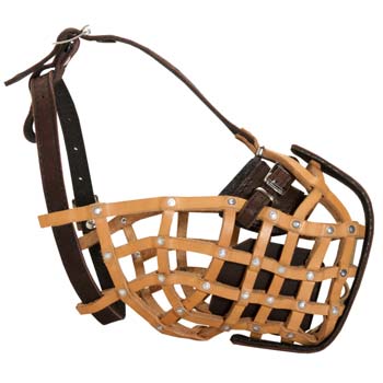 Buy Adjustable Leather Basket Muzzle for Cane Corso Agitation Training