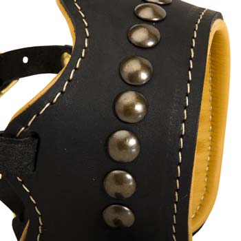 Leather padded Cane Corso muzzle