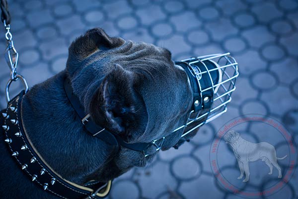 Metal dog muzzle for Cane Corso effective training