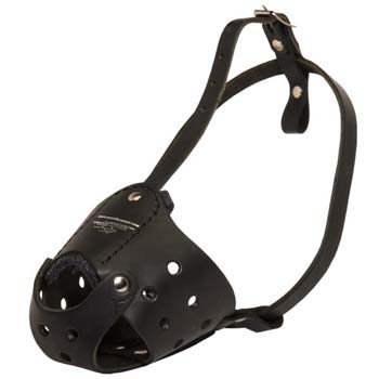Excellent leather dog muzzle