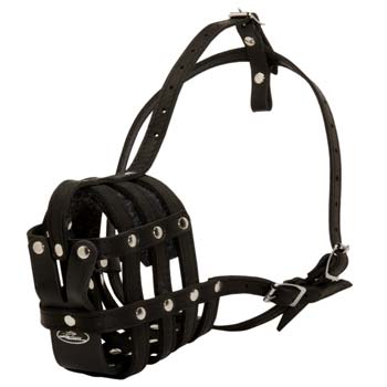 Custom made leather mesh dog muzzle