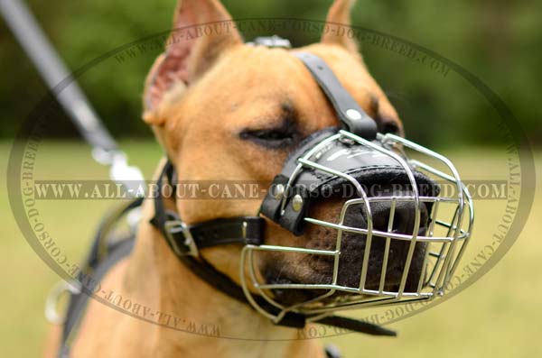 Ultra Lightweight Wire Cage Dog Muzzle