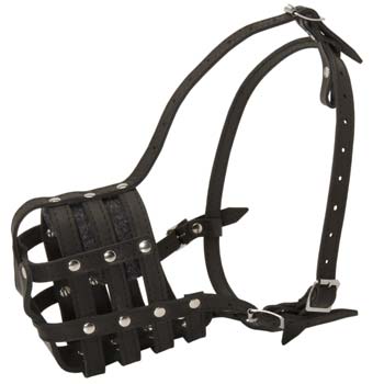 Spacious well-made leather dog muzzle