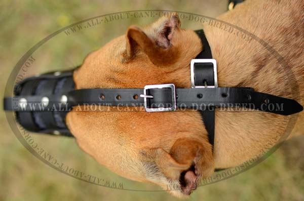 Cage Leather Dog Muzzle Lightweight