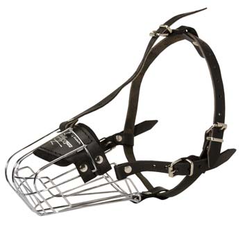 Well-fitting cage wire dog muzzle