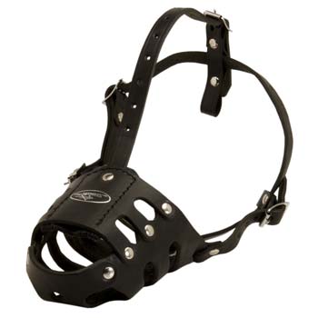 Properly ventilated leather muzzle for Cane Corso