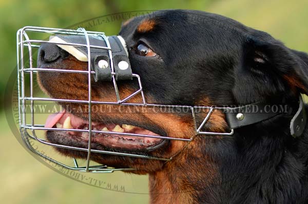 Metal Basket Canine Muzzle for Rottweilers