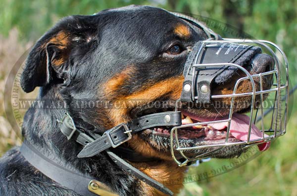 Well-Made Metal Cage Dog Muzzle for Rottweiler
