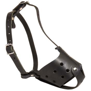 Cane Corso leather muzzle for everyday walks