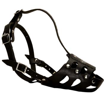 Properly ventilated leather muzzle for Cane Corso