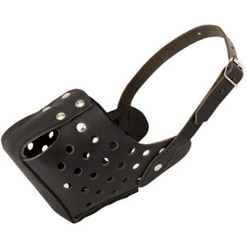 Well ventilated muzzle for efficient training
