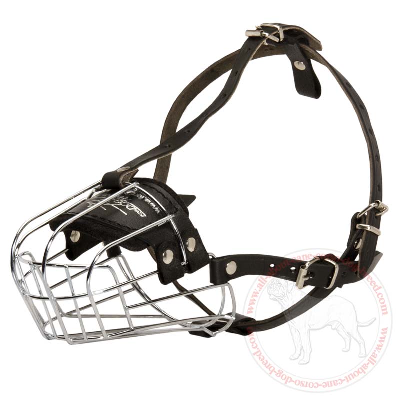 basket dog muzzle