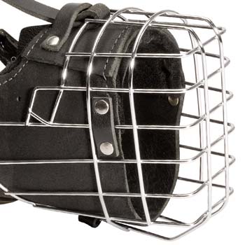 Wire cage dog muzzle with bettwen ears strap 