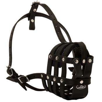 Custom made leather mesh dog muzzle