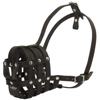 Roomy well-made leather dog muzzle for Great Danes