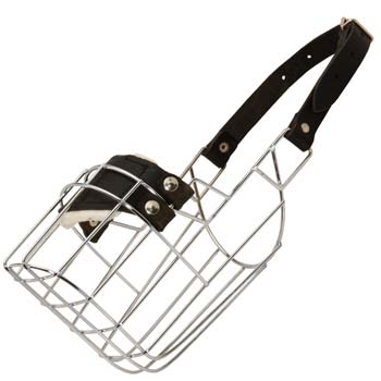 Wire dog muzzle with padded nose area