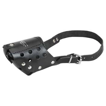 Well-Fitting Leather Dog Muzzle with Padding for Cane Corso