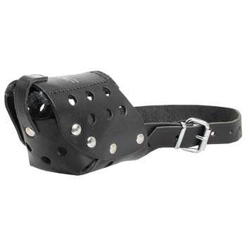 Ventilated Leather Cane Corso Muzzle for Walking