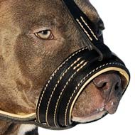 Lightweight Nappa Padded Cane Corso Leather Muzzle