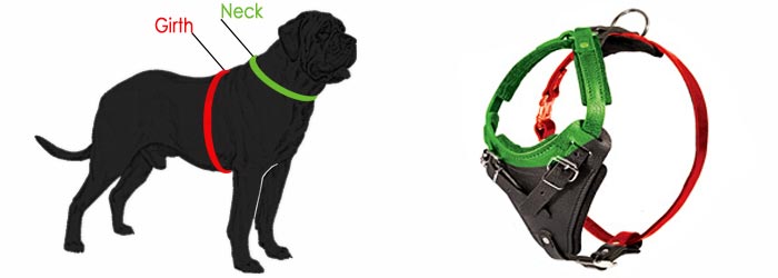 how to measure harness h1