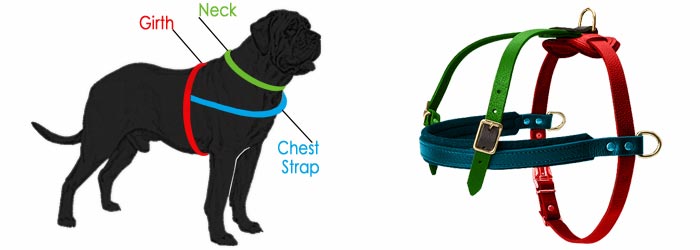 how to measure harness h5