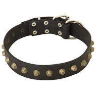 Gorgeous Wide Leather Collar with Pyramids for Cane Corso